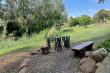 River Cottage/ watch the birds nesting in the reeds