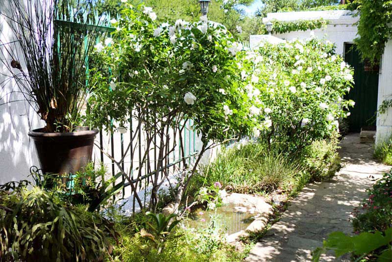 The Barracks -  Bed and Breakfast Colesberg, Karoo