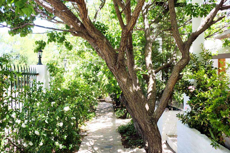 The Barracks -  Bed and Breakfast Colesberg, Karoo