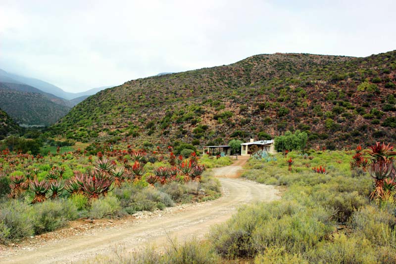 View - Kleingeluk Guest House self catering in De Rust