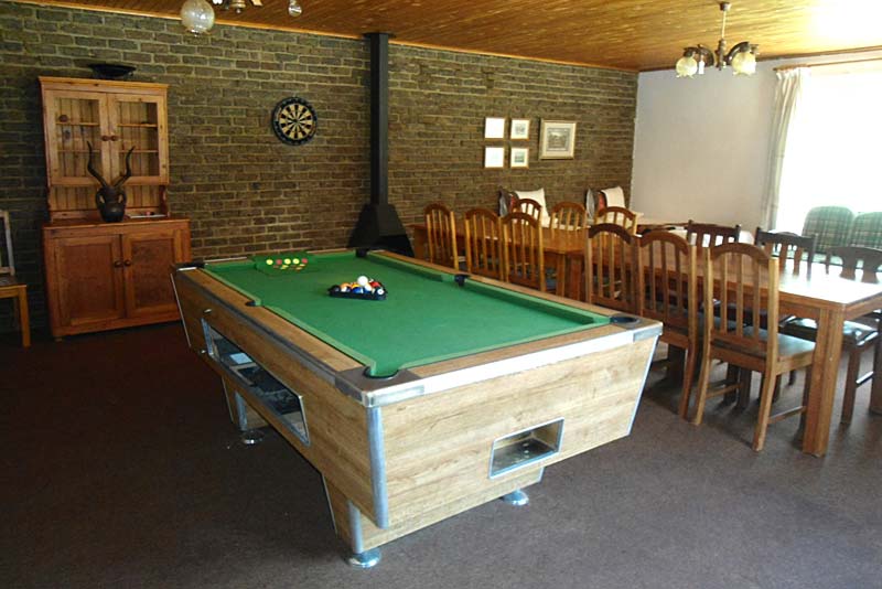 Farmhouse entertainment area