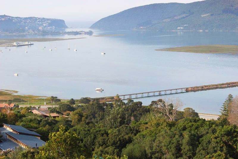 View from most of the house