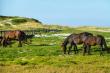 Chalet 10 - Meerensee - self catering in Fisherhaven near Hermanus