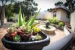 Braai area - Winelands Villa Guesthouse self catering Somerset West