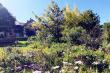 Garden - Winelands Villa Guesthouse self catering Somerset West