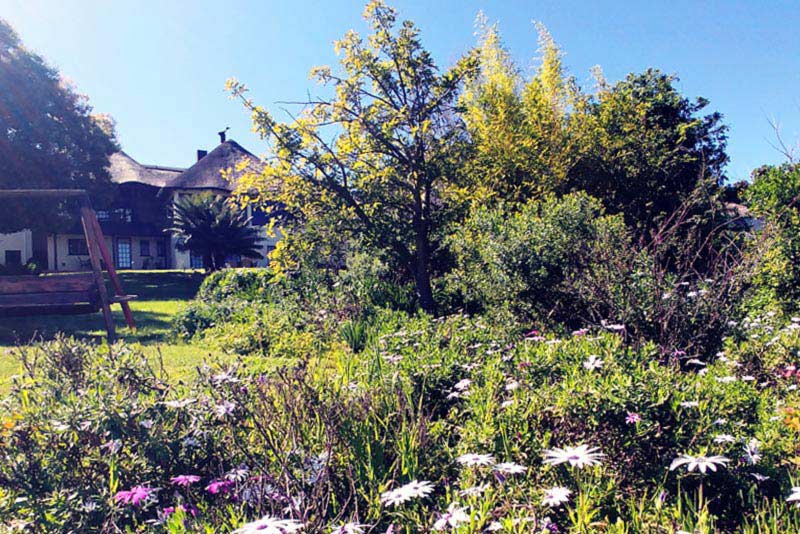 Garden - Winelands Villa Guesthouse self catering Somerset West
