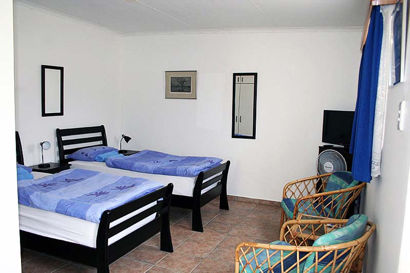 Springbok twin beds