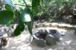 The tucked away lapa, equipped with open fire pit.