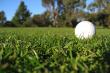 Numerous golf courses are close by - Dolphin's Creek/Great Brak River, Fancourt Club Estate etc.