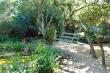 Relax on the swing in the peace of the garden.