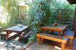Outdoor seating areas under the milkwoods.