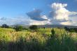 View of the fields & Magalies mountain 