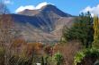 Mt Horeb Manor - Bed and Breakfast in Clarens