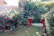 Garden View - House On Morninghill self catering Bedfordview