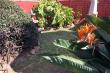 Garden - House On Morninghill self catering Bedfordview