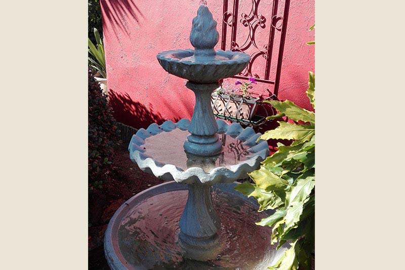 Water Feature - House On Morninghill self catering Bedfordview