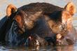 Mount Etjo Safari Lodge luxury accommodation Kalkfeld, Otjozondjupa