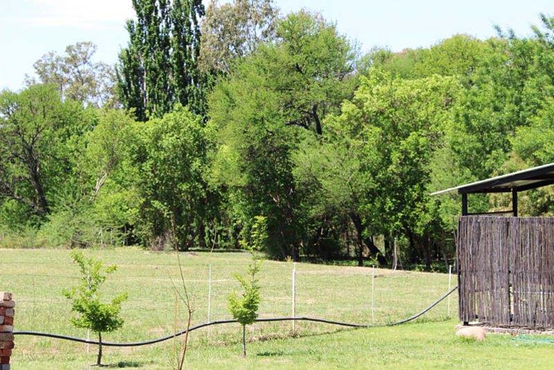 Surrounding area