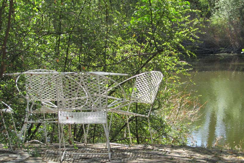 Area by the river