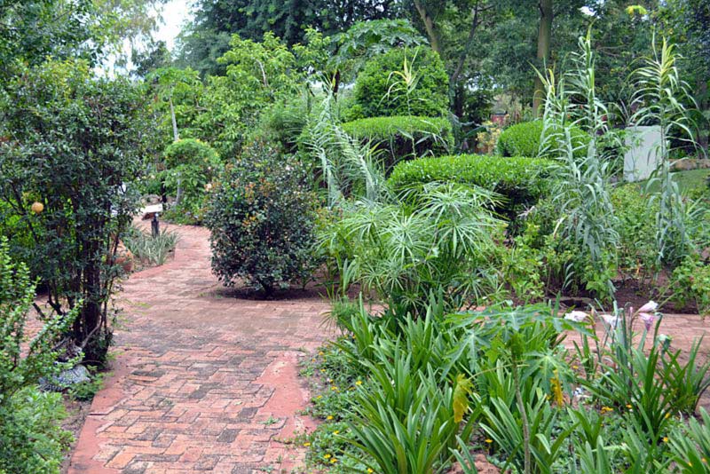 Lush garden - Tambuti Lodge Bed and Breakfast Rundu, Namibia