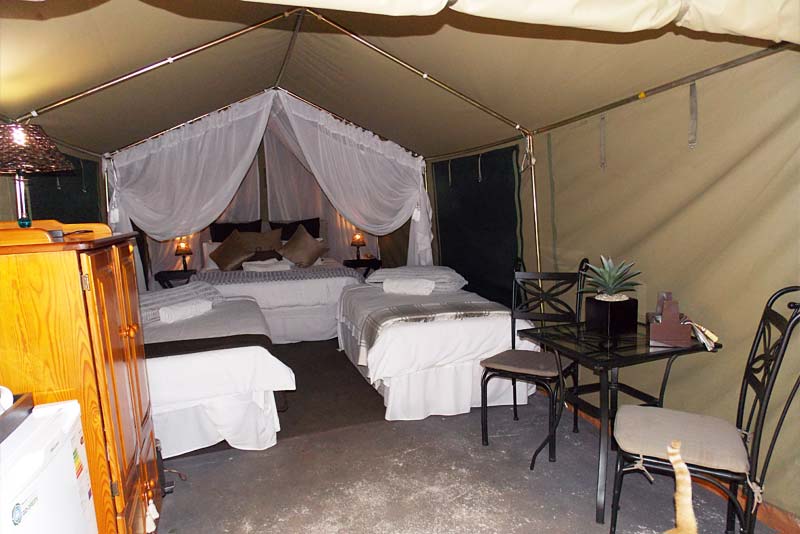 8 x Sleeper Safari-tented self-catering unit