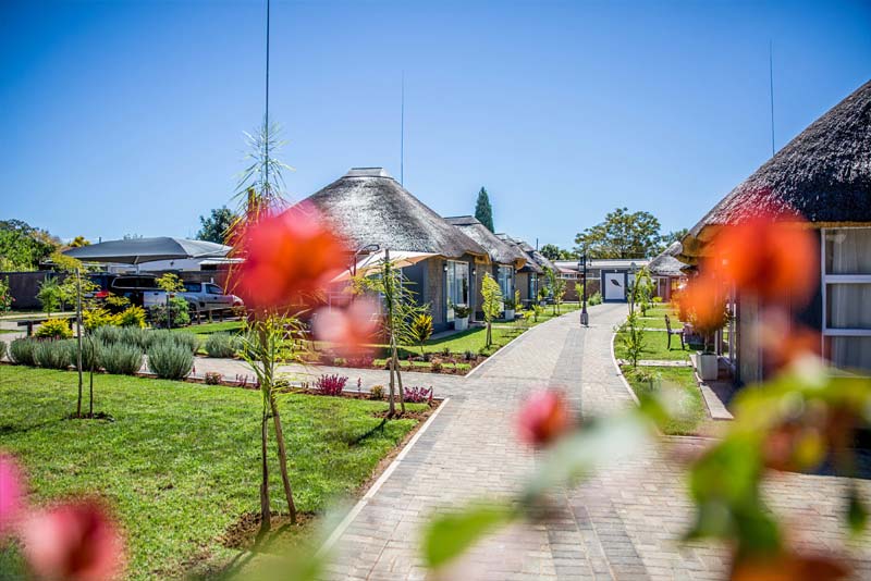 Garden views - TshiBerry Bed and Breakfast Phokeng, Rustenburg