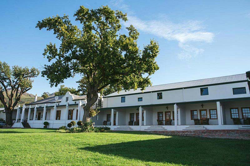 d'Olyfboom Guesthouse - Bed & Breakfast in Paarl