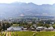 View - d'Olyfboom Guesthouse - Bed & Breakfast in Paarl