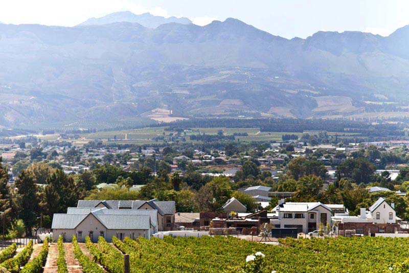 View - d'Olyfboom Guesthouse - Bed & Breakfast in Paarl