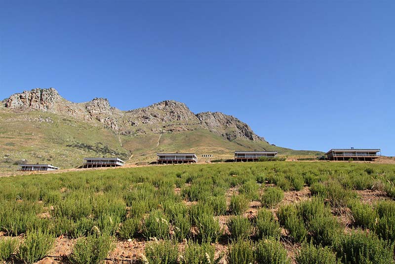 View of the cottages