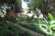 Caprivi Houseboat Safaris Lodge - dinner, bed and breakfast near Katima Mulilo