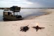 Caprivi Houseboat Safaris Lodge - dinner, bed and breakfast near Katima Mulilo