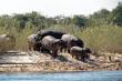 Caprivi Houseboat Safaris Lodge - dinner, bed and breakfast near Katima Mulilo