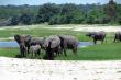 Caprivi Houseboat Safaris Lodge - dinner, bed and breakfast near Katima Mulilo