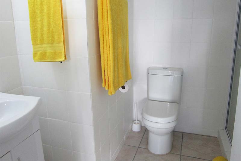 ELAINE bathroom with shower