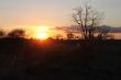 Adansonia Eco Lodge - self catering, dinner bed and breakfast near Musina