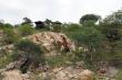 Adansonia Eco Lodge - self catering, dinner bed and breakfast near Musina