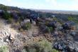 Adansonia Eco Lodge - self catering, dinner bed and breakfast near Musina
