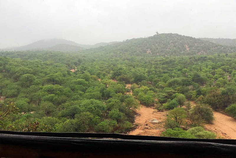 Adansonia Eco Lodge - self catering, dinner bed and breakfast near Musina