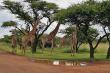 Makhato 84 - Self-catering in Sondela Nature Reserve, Bela-Bela, Limpopo