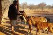 Makhato 84 - Self-catering in Sondela Nature Reserve, Bela-Bela, Limpopo