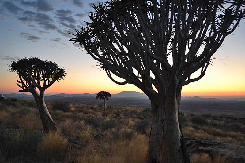 Namibs Valley Lodge - accommodation in Gamsberg Pass