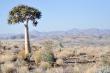 Namibs Valley Lodge - accommodation in Gamsberg Pass