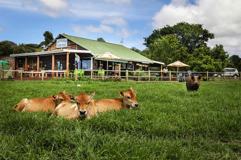 Natures Way Farm Stall - self catering The Crags, Natures Valley