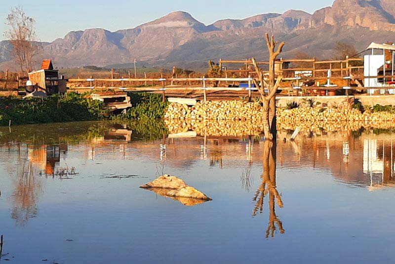 Middelplaas Paarl Guesthouse -  Bed and Breakfast Paarl