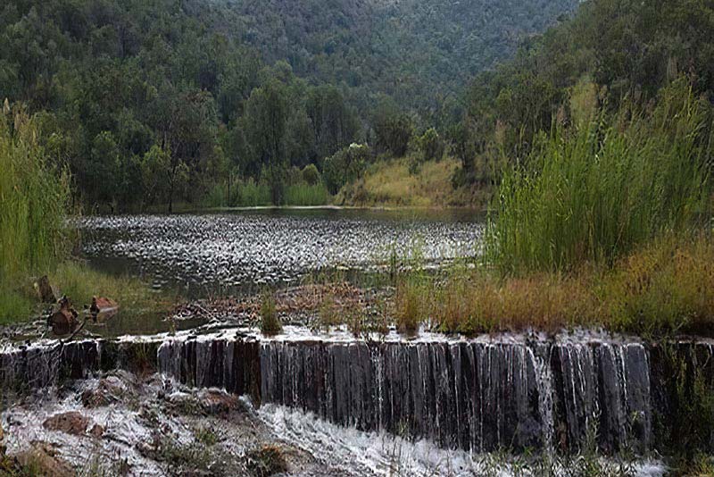 Dams