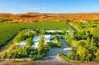 Vineyards surrounding Property