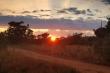 Sunset in the bush