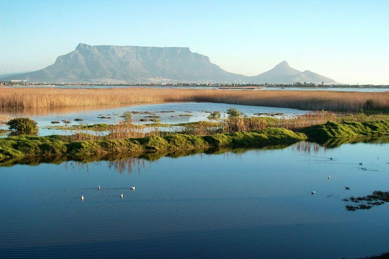 Table Mountain & Rietvlei Wetlands in Winter