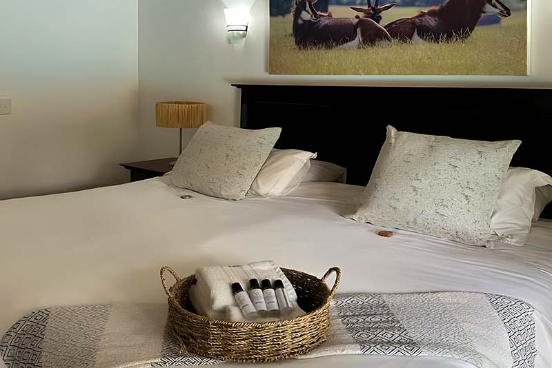 Sable room